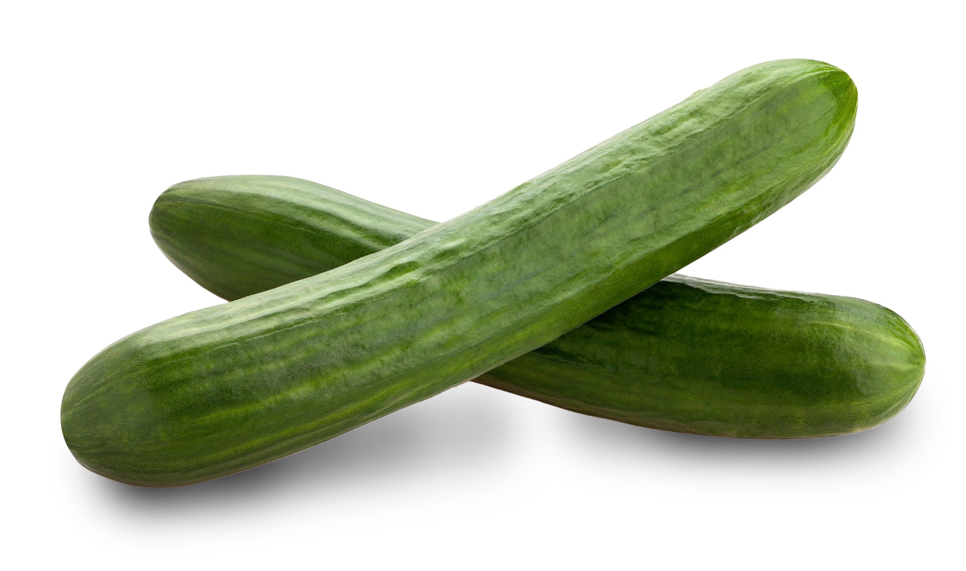Cucumber